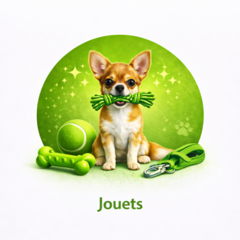 Jouets