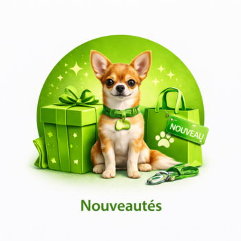 Nouveautés